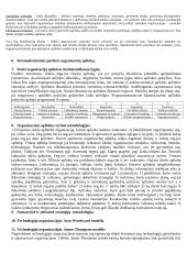 Organizacijų teorija 4 puslapis