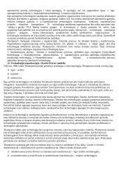 Organizacijų teorija 5 puslapis