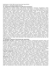 Organizacijų teorija 8 puslapis