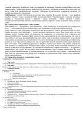 Organizacijų teorija 9 puslapis