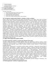 Organizacijų teorija 10 puslapis