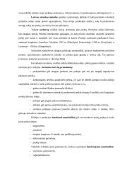 Pardavimų formos prekyboje 4 puslapis