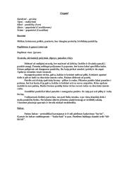 Paukščių ir jų balsų informacija 2 puslapis