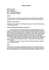 Paukščių ir jų balsų informacija 4 puslapis