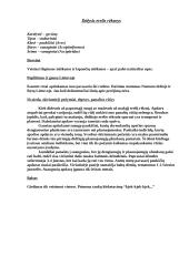 Paukščių ir jų balsų informacija 5 puslapis