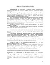 Paviršiai, jų paruošimas, dažymas