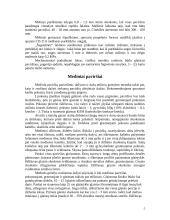 Paviršiai, jų paruošimas, dažymas 5 puslapis