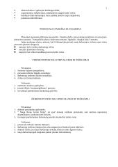 Personalo vadybos teorija 2 puslapis