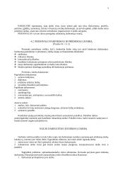 Personalo vadybos teorija 4 puslapis