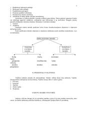 Personalo vadybos teorija 6 puslapis