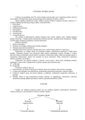 Personalo vadybos teorija 7 puslapis