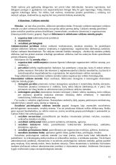 Personalo valdymo paskaitų teorija 12 puslapis