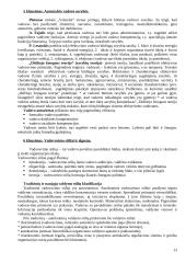 Personalo valdymo paskaitų teorija 13 puslapis