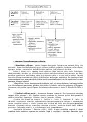 Personalo valdymo paskaitų teorija 3 puslapis