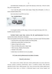 Planavimas. Vadovo asmeninis darbas ir bendravimo tobulinimas 13 puslapis