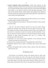 Planavimas. Vadovo asmeninis darbas ir bendravimo tobulinimas 8 puslapis