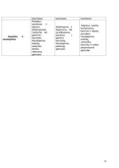 Polimerų teorija 11 puslapis