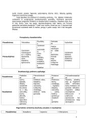 Polimerų teorija 10 puslapis