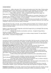 Politikos teorijos 7 puslapis