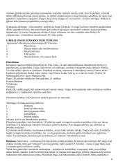 Politikos teorijos 8 puslapis