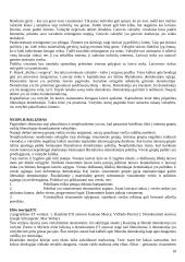 Politikos teorijos 10 puslapis