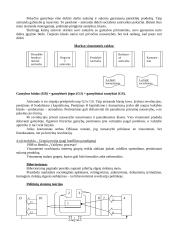Politologija - išsami teorija 2 puslapis