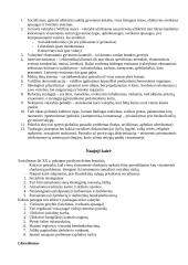 Politologija - išsami teorija 11 puslapis