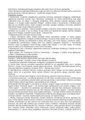 Politologija - išsami teorija 12 puslapis