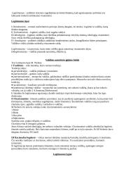 Politologija - išsami teorija 20 puslapis