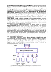 Procesoriai 6 puslapis