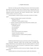 Projektų finansavimas 4 puslapis