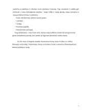 Projektų finansavimas 6 puslapis