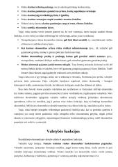 Rinka ir valstybė 2 puslapis