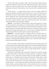 Rinka ir valstybė 6 puslapis