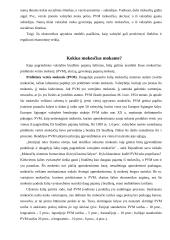 Rinka ir valstybė 7 puslapis