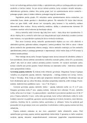 Rinka ir valstybė 9 puslapis