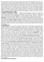 Smulkus ir vidutinis verslas (SVV) - paskaitų medžiaga egzaminui 6 puslapis