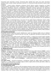 Smulkus ir vidutinis verslas (SVV) - paskaitų medžiaga egzaminui 7 puslapis