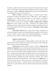 Socialinio darbo teorijos ir praktikos konstrukcija 2 puslapis