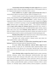 Socialinio darbo teorijos ir praktikos konstrukcija 3 puslapis