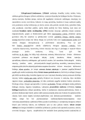 Socialinio darbo teorijos ir praktikos konstrukcija 6 puslapis