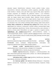 Socialinio darbo teorijos ir praktikos konstrukcija 8 puslapis