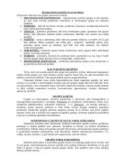 Socialinis darbas su grupe 2 puslapis