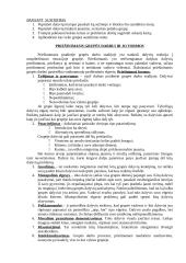 Socialinis darbas su grupe 11 puslapis