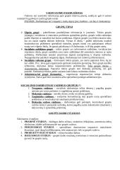 Socialinis darbas su grupe 3 puslapis