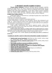 Socialinis darbas su grupe 4 puslapis