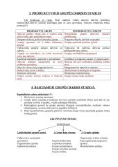 Socialinis darbas su grupe 6 puslapis