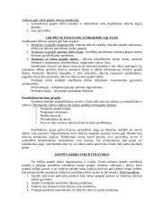 Socialinis darbas su grupe 10 puslapis