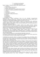 Socialinių mokslų didaktika 2 puslapis