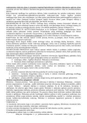 Socialinių mokslų didaktika 3 puslapis